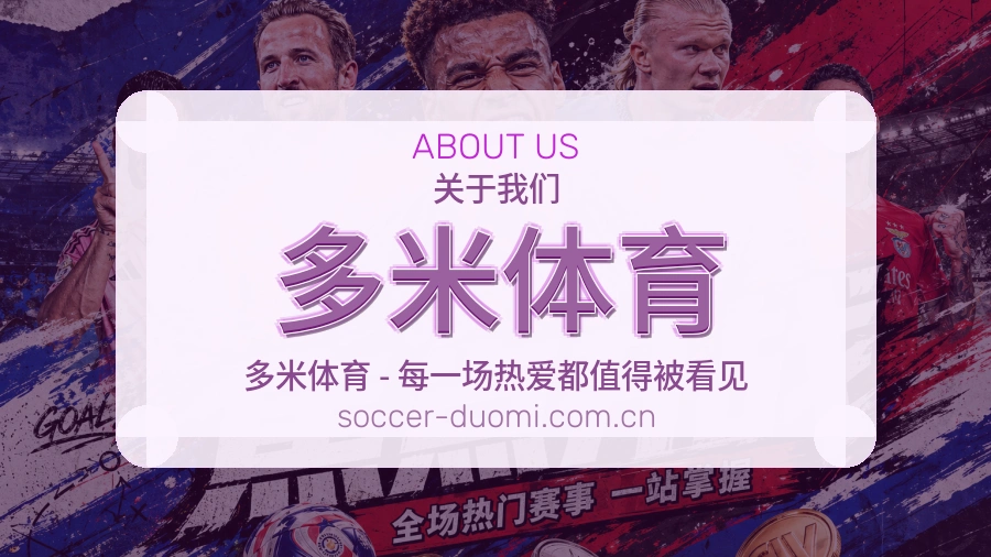 多米体育关于我们模块图